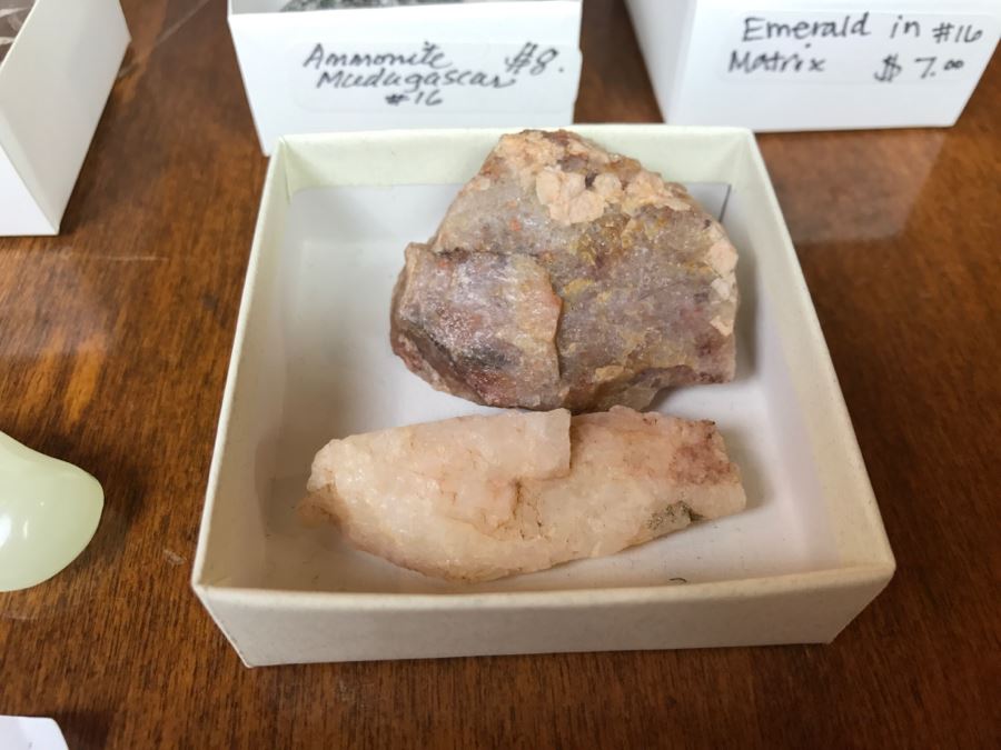 Collection Of Various Fossils And Stones Including An Orthoceras 400,000,000 Year Old Fossil - See All Photos [Photo 12]