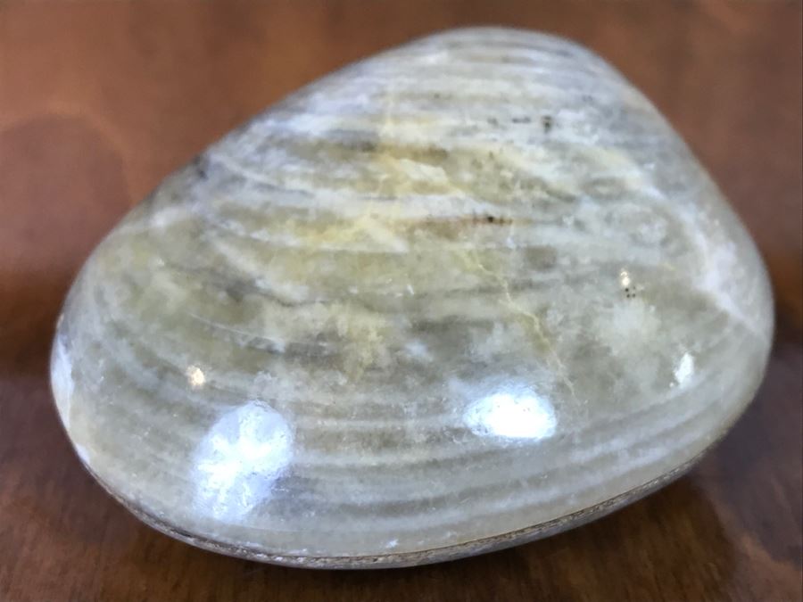 Pair Of Fossilized Clams Off Madagascar Over 120 Million Years Old Cretaceous Period [Photo 8]