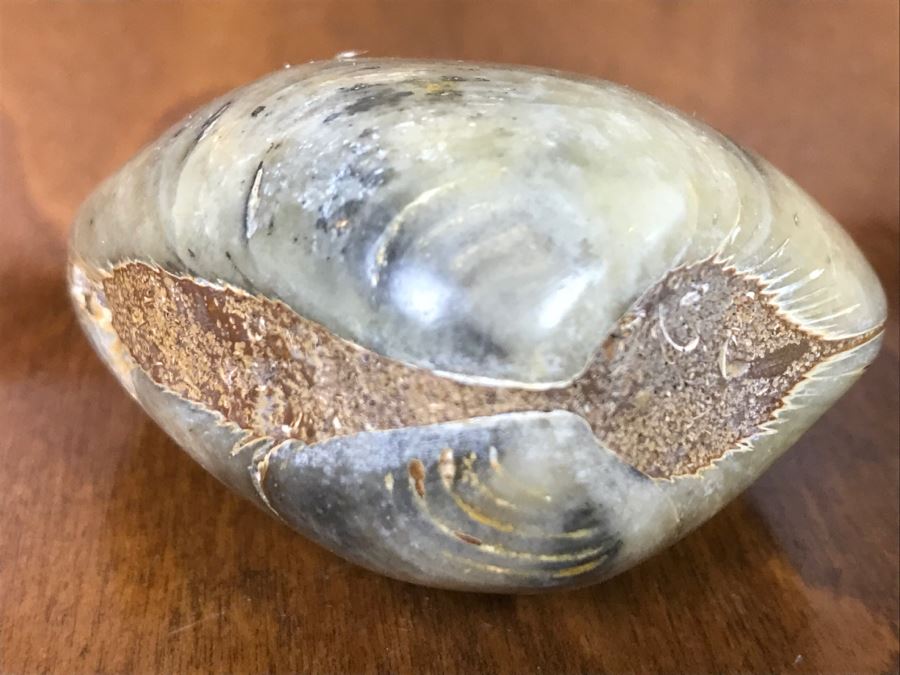 Pair Of Fossilized Clams Off Madagascar Over 120 Million Years Old Cretaceous Period [Photo 6]