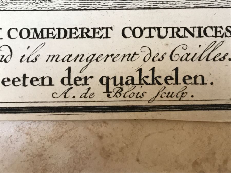 Pair Of Antique Prints Engravings: (1) Engraver B. Bernards, Artist G. Hoet, Title Five Kings Of Midian Slain By Israel; (2) Engraver A. De Blois, Artist G. Hoet, Title A Plague Inflicted On Israel Whilst Eating The Quails [Photo 61]