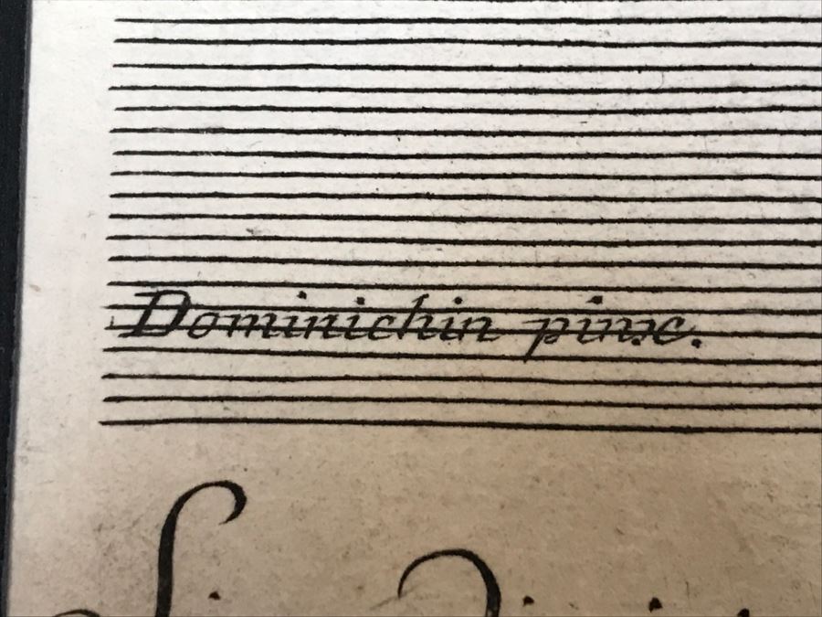 Antique Print Engraving Jacob Frey [Photo 14]