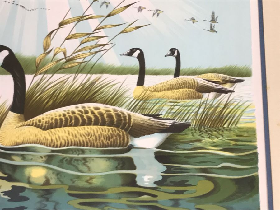 Vintage 1977 Limited Edition Lithograph By Larry Toschik Hand Signed Titled 'Wild Cry Of The Morning' Franklin Mint Gallery Ducks [Photo 6]