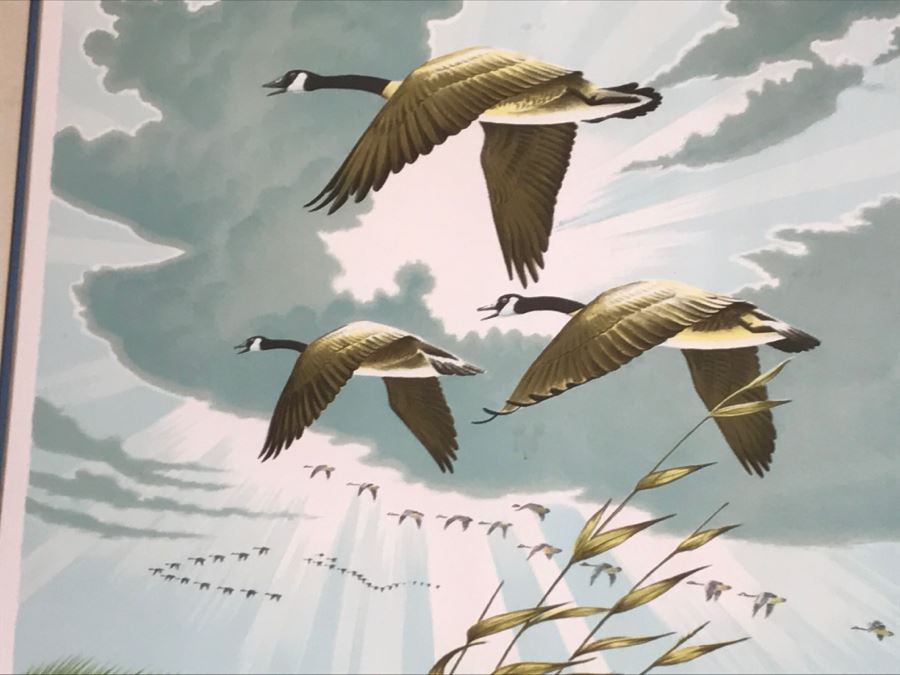 Vintage 1977 Limited Edition Lithograph By Larry Toschik Hand Signed Titled 'Wild Cry Of The Morning' Franklin Mint Gallery Ducks [Photo 8]