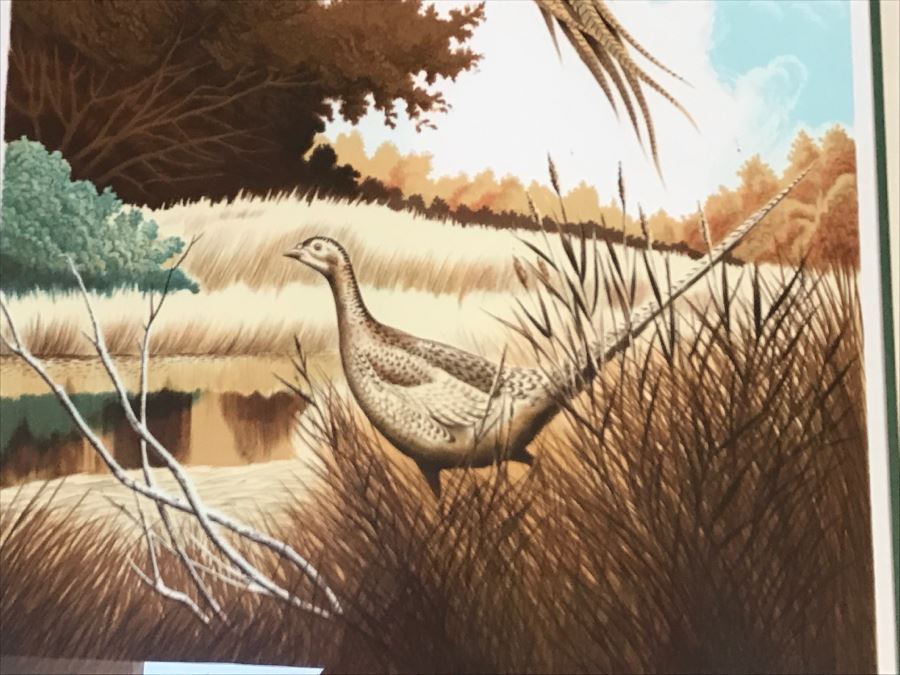 Vintage 1977 Limited Edition Lithograph By Larry Toschik Hand Signed Titled 'Rush Of Wings' Franklin Mint Gallery Pheasants [Photo 5]