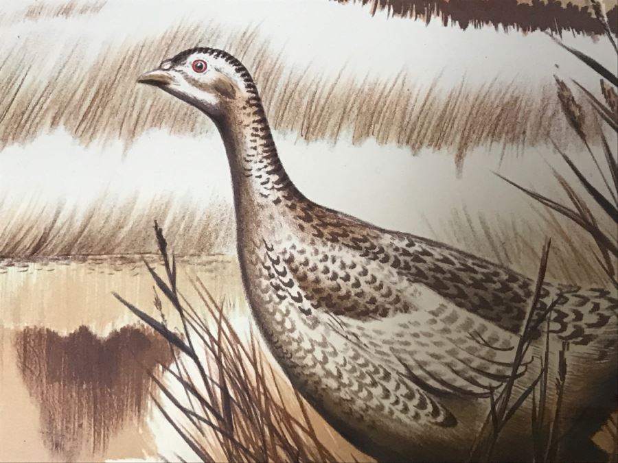 Vintage 1977 Limited Edition Lithograph By Larry Toschik Hand Signed Titled 'Rush Of Wings' Franklin Mint Gallery Pheasants [Photo 7]