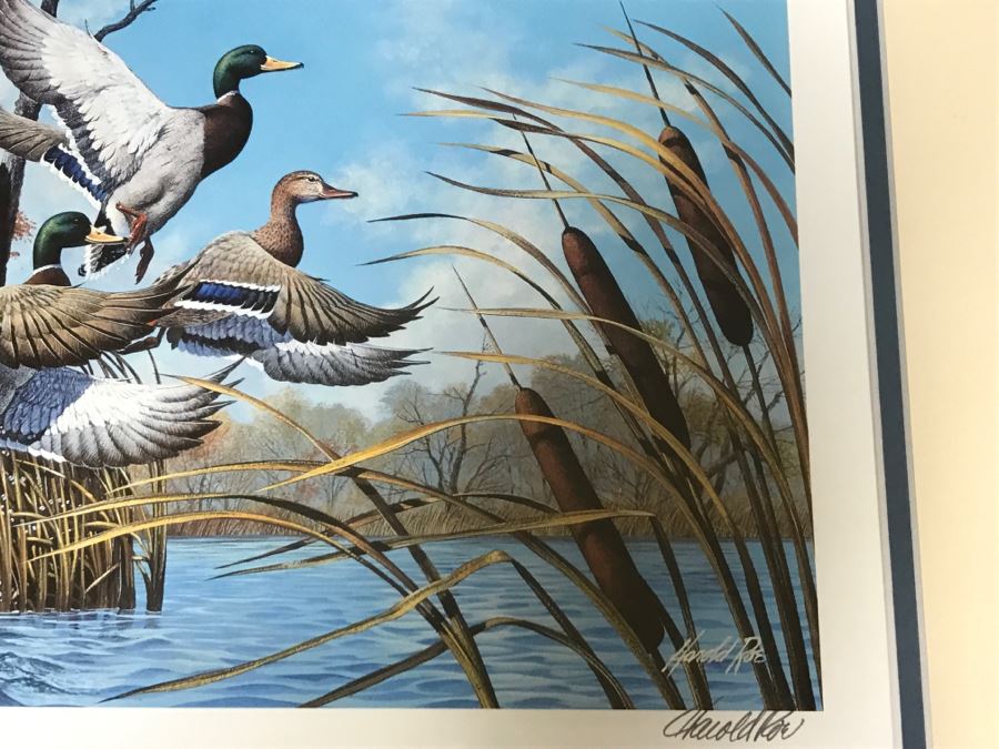 Vintage 1992 Ducks Unlimited Ninth Annual $5 Stamp And Lithograph Print By Harold Roe Hand Signed 35 Of 5,000 [Photo 7]
