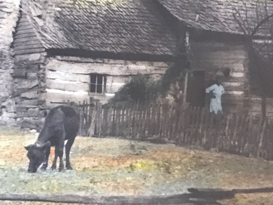 Rural Farm Picture Signed Wiles [Photo 6]