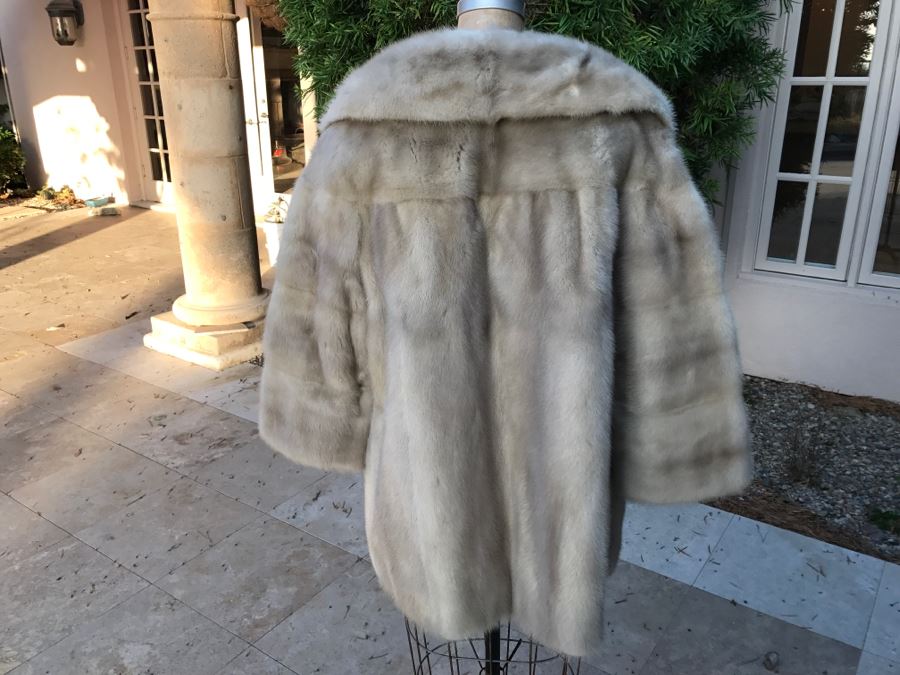 Morning Light Rare Quality EMBA Natural Pale Blue Beige Mink Fur Coat [Photo 6]