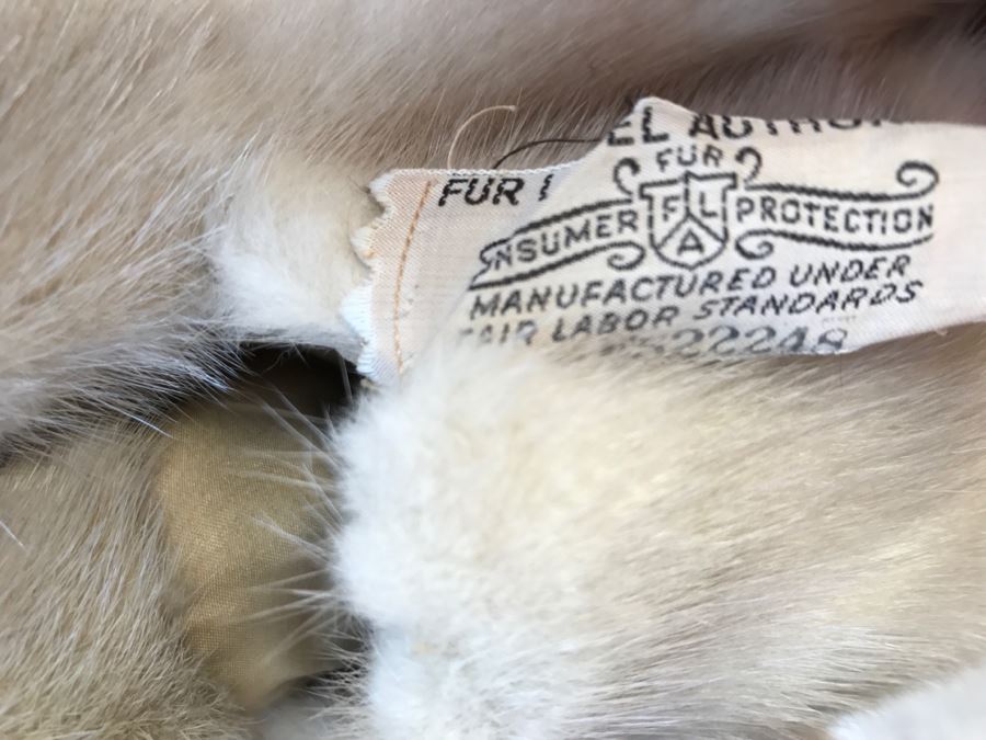 Morning Light Rare Quality EMBA Natural Pale Blue Beige Mink Fur Coat [Photo 16]