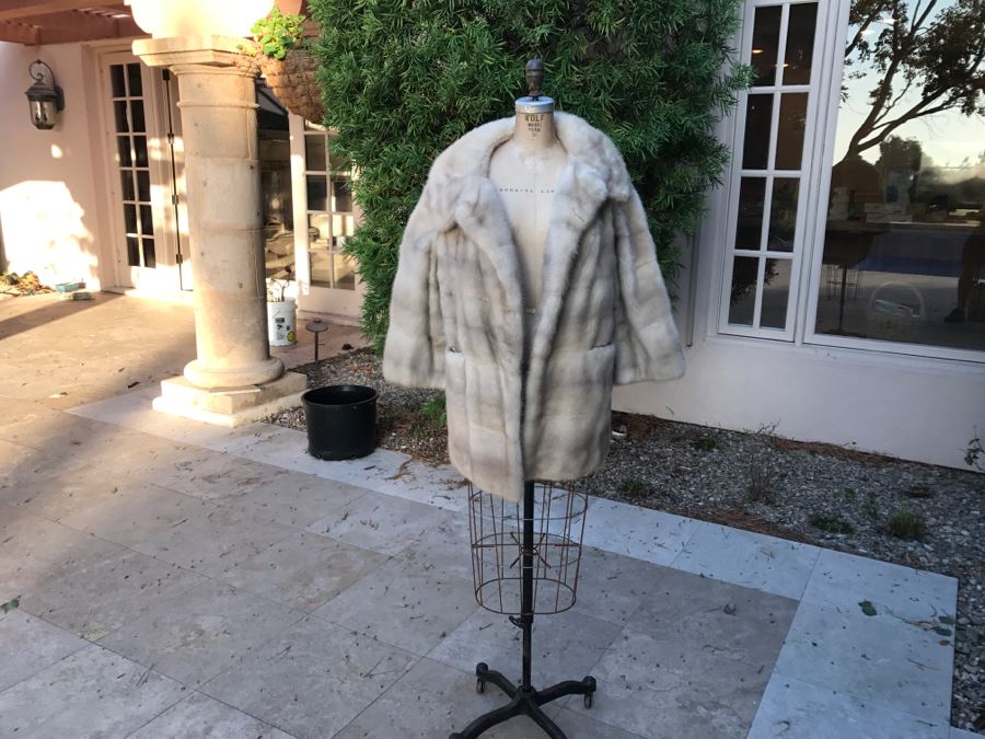 Morning Light Rare Quality EMBA Natural Pale Blue Beige Mink Fur Coat [Photo 3]