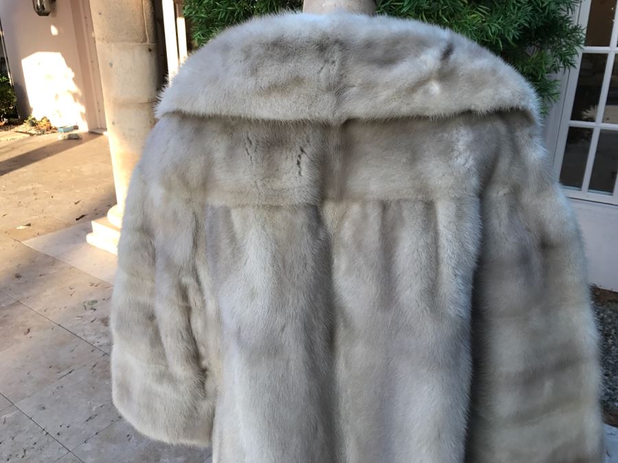 Morning Light Rare Quality EMBA Natural Pale Blue Beige Mink Fur Coat [Photo 7]
