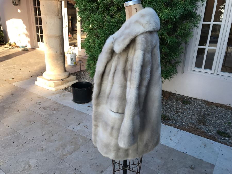 Morning Light Rare Quality EMBA Natural Pale Blue Beige Mink Fur Coat [Photo 8]