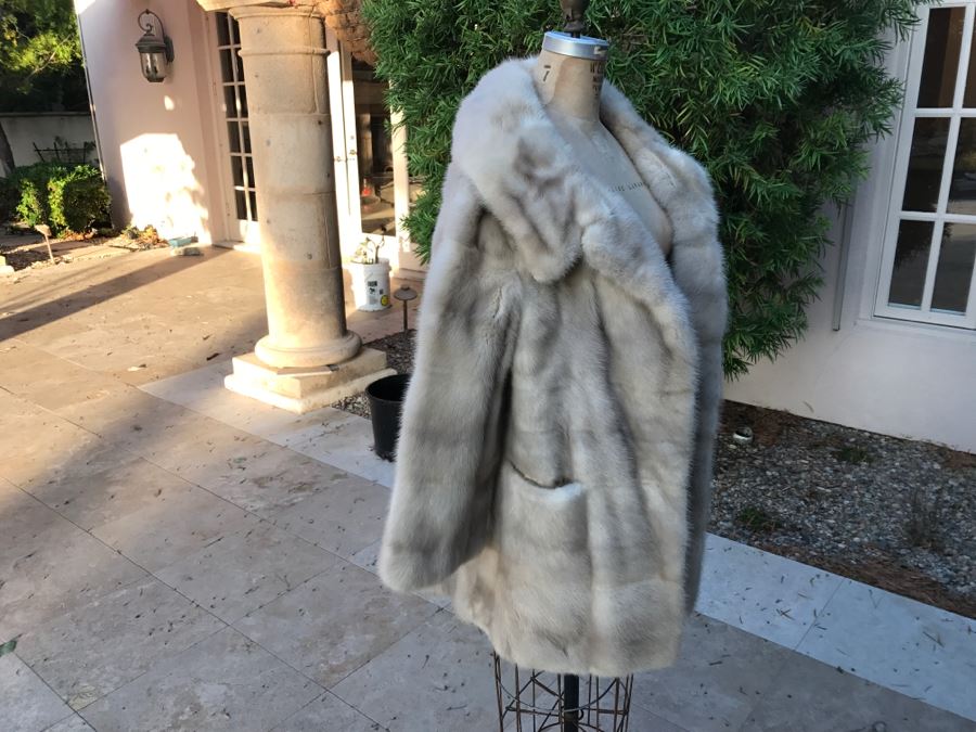 Morning Light Rare Quality EMBA Natural Pale Blue Beige Mink Fur Coat [Photo 5]