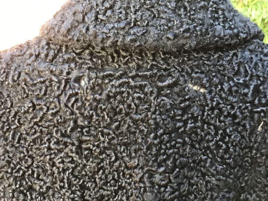 Teitelbaum Furs Beverly Hills Black Persian Lamb Coat Appraised In 1985 For $1,000 - From Furrier To The Stars Al Teitelbaum [Photo 9]