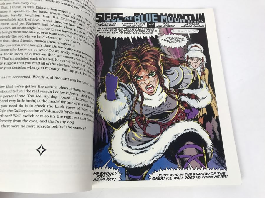 Signed First Printing 1988 The Complete Elfquest Graphic Novel Book Five: Siege At Blue Mountain Signed By Richard Pini And Wendy Pini [Photo 9]