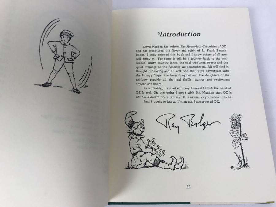 Signed First Printing Hardcover Book The Mysterious Chronicles Of OZ Or The Travels Of Ozma And The Sawhorse By Onyx Madden [Photo 13]