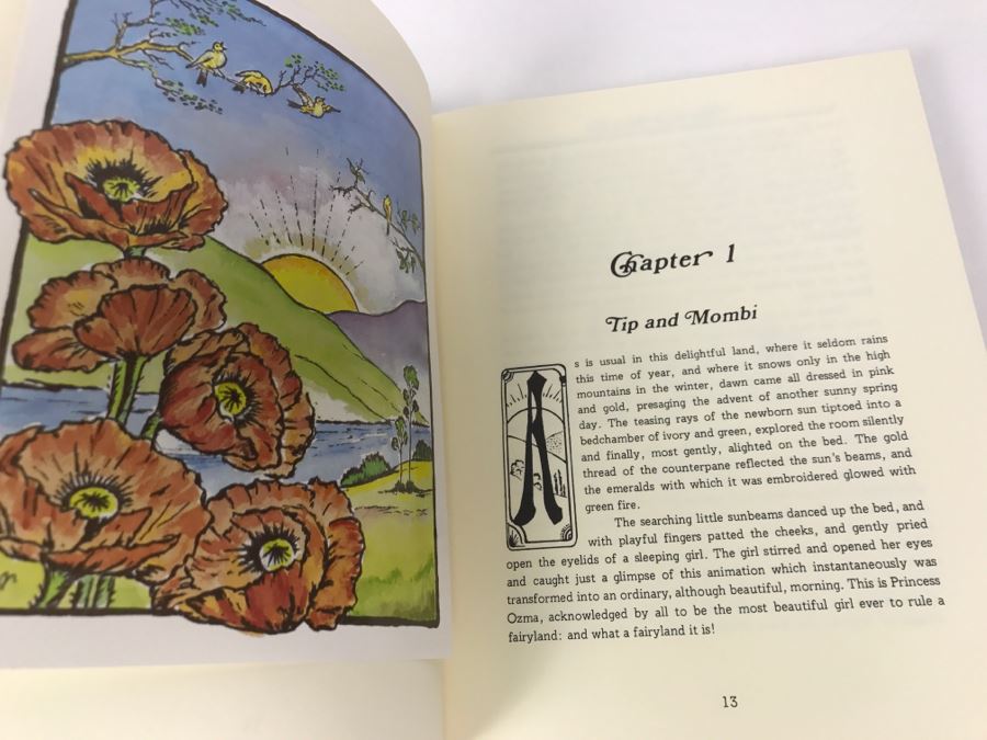 Signed First Printing Hardcover Book The Mysterious Chronicles Of OZ Or The Travels Of Ozma And The Sawhorse By Onyx Madden [Photo 14]