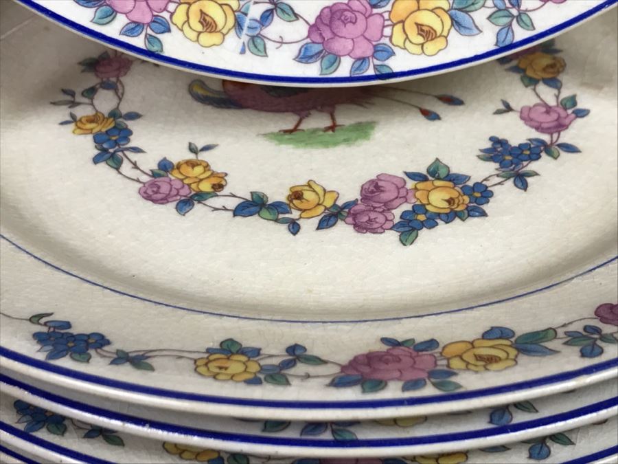 JUST ADDED - Vintage Set Of (10) Carrollton China Bird Plates [Photo 4]