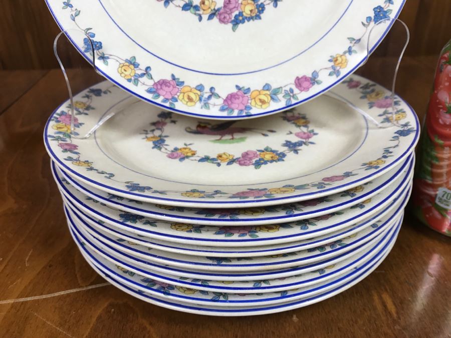 JUST ADDED - Vintage Set Of (10) Carrollton China Bird Plates [Photo 11]