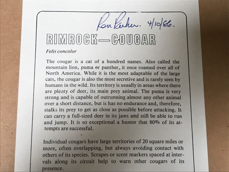 JUST ADDED - Vintage 1986 Hand Signed Limited Edition Print Titled 'Rimrock - Cougar' Mountain Lion By Ron Parker 134 Of 950 [Photo 16]