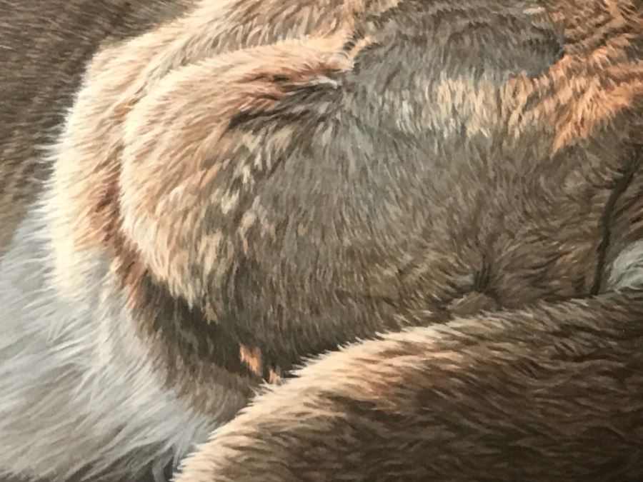 JUST ADDED - Vintage 1986 Hand Signed Limited Edition Print Titled 'Rimrock - Cougar' Mountain Lion By Ron Parker 134 Of 950 [Photo 8]