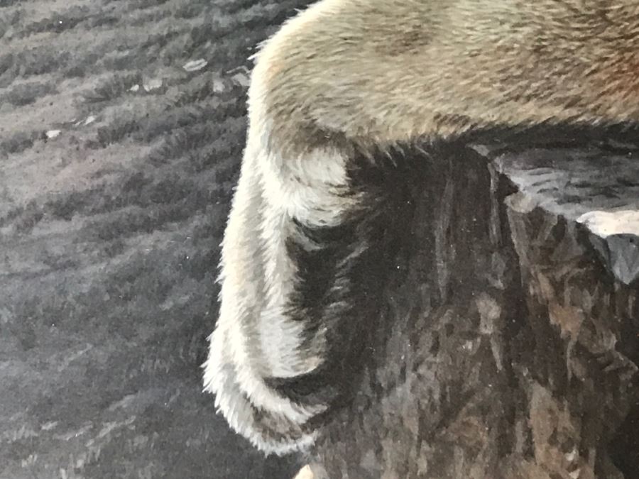 JUST ADDED - Vintage 1986 Hand Signed Limited Edition Print Titled 'Rimrock - Cougar' Mountain Lion By Ron Parker 134 Of 950 [Photo 11]