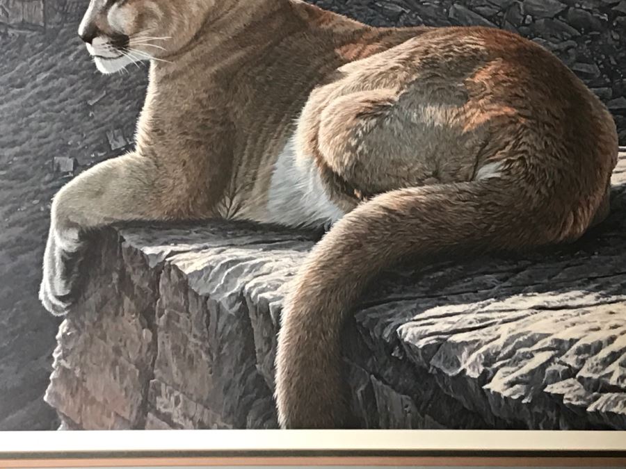 JUST ADDED - Vintage 1986 Hand Signed Limited Edition Print Titled 'Rimrock - Cougar' Mountain Lion By Ron Parker 134 Of 950 [Photo 4]