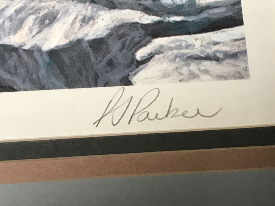 JUST ADDED - Vintage 1986 Hand Signed Limited Edition Print Titled 'Rimrock - Cougar' Mountain Lion By Ron Parker 134 Of 950 [Photo 10]