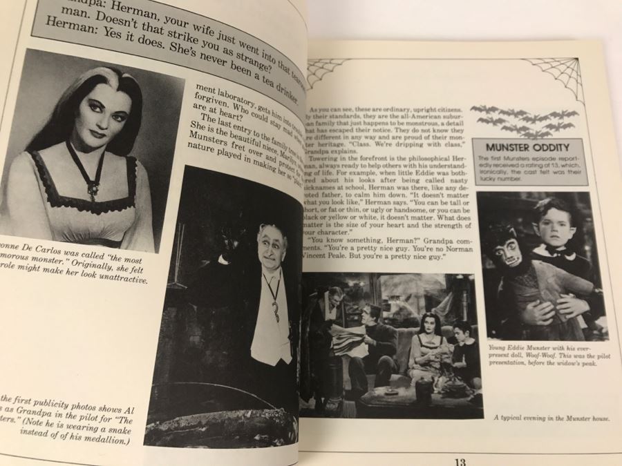 Vintage 1989 Book The Munsters Television's First Family Of Fright By Stephen Cox [Photo 9]
