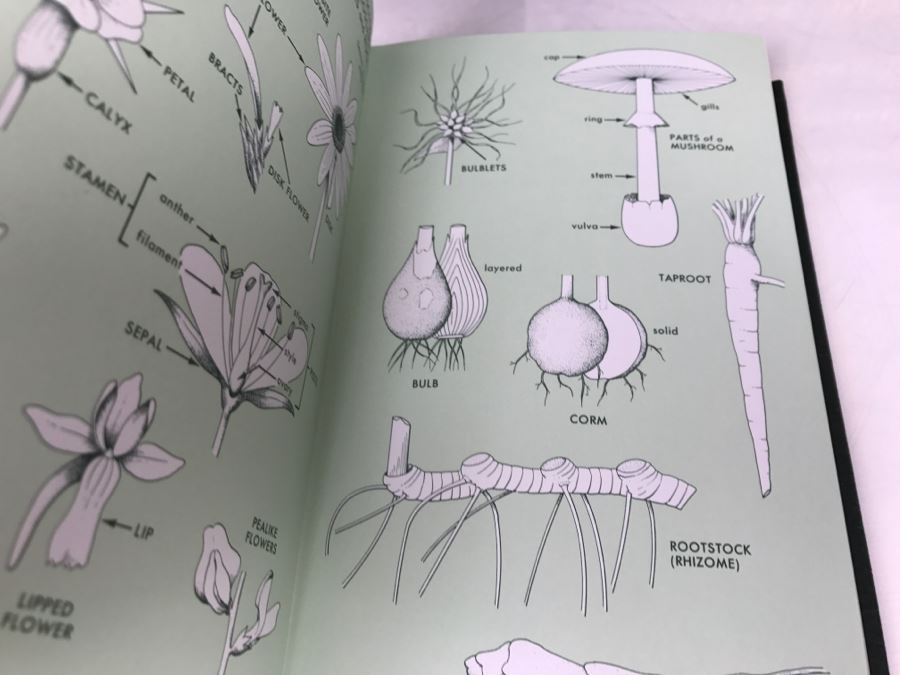 (10) Easton Press Books 1985 The Fiftieth Anniversary Edition Roger Tory Peterson Field Guides Sponsored By The National Audobon Society And The National Wildlife Federation (See Details For Titles) - Plants [Photo 10]
