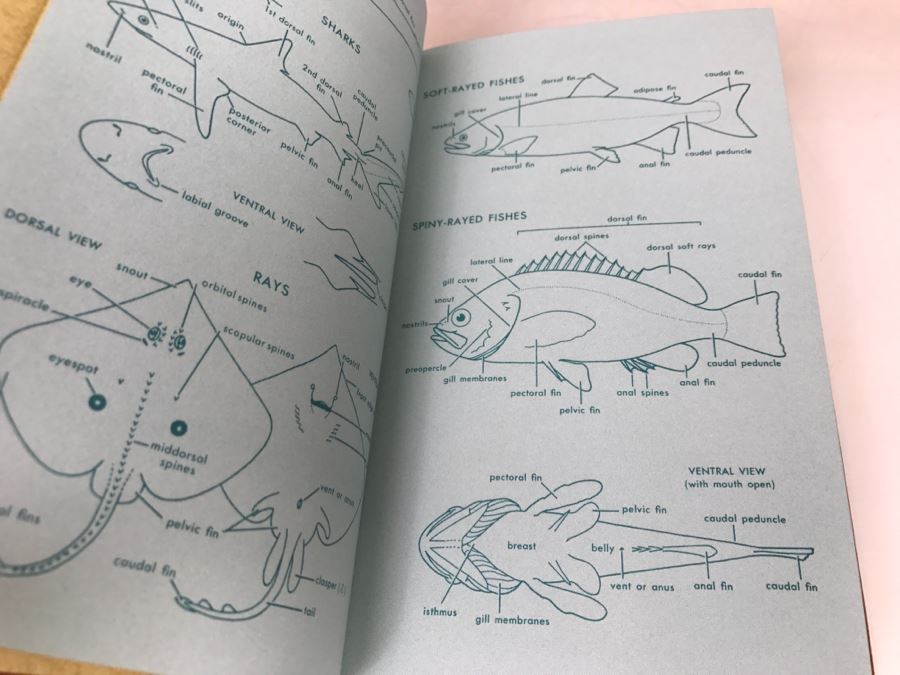 (7) Easton Press Books 1985 The Fiftieth Anniversary Edition Roger Tory Peterson Field Guides Sponsored By The National Audobon Society And The National Wildlife Federation (See Details For Titles) - Oceans [Photo 7]