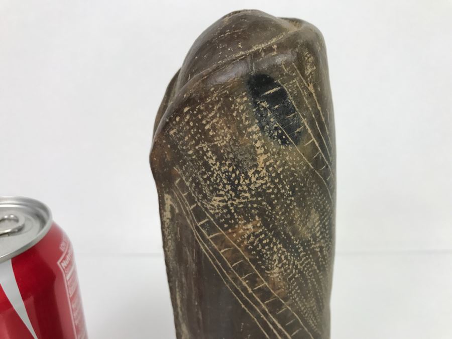 Antique Pre-Columbian Penis Sheath Artifact [Photo 6]