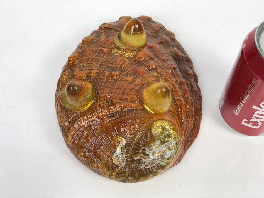 Unique Mid-Century Modern Abalone Shell With Yellow Glass Feet [Photo 21]