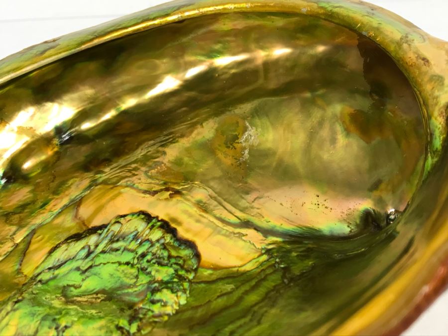 Unique Mid-Century Modern Abalone Shell With Yellow Glass Feet [Photo 11]