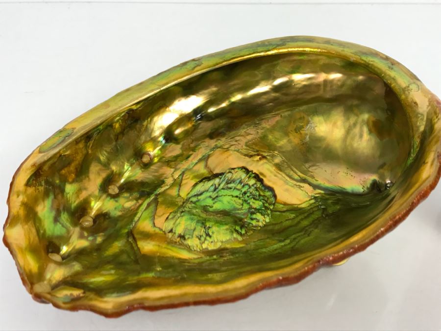 Unique Mid-Century Modern Abalone Shell With Yellow Glass Feet [Photo 8]