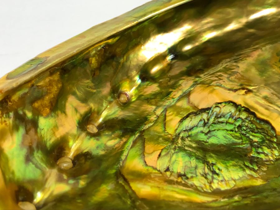 Unique Mid-Century Modern Abalone Shell With Yellow Glass Feet [Photo 10]