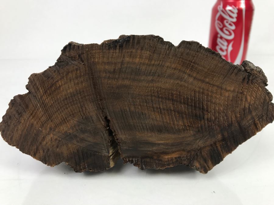Vintage Carved Ironwood Cactus Wood Carving Sculpture [Photo 13]
