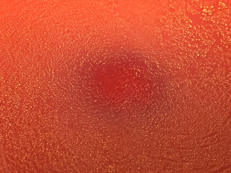 Orange Art Glass Bowl [Photo 7]