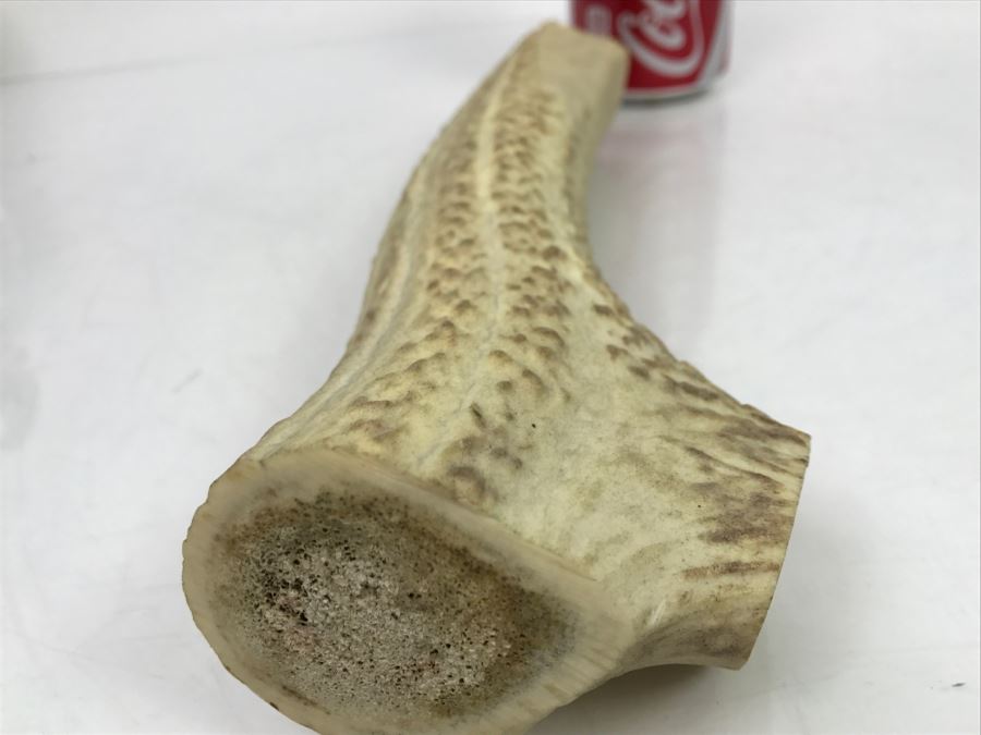 Vintage Real Antler Cribbage Board [Photo 9]