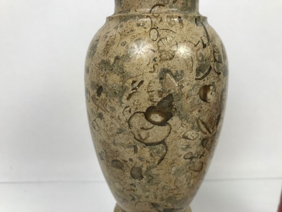 Turned Natural Fossil Stone Vase Fossilstone [Photo 4]