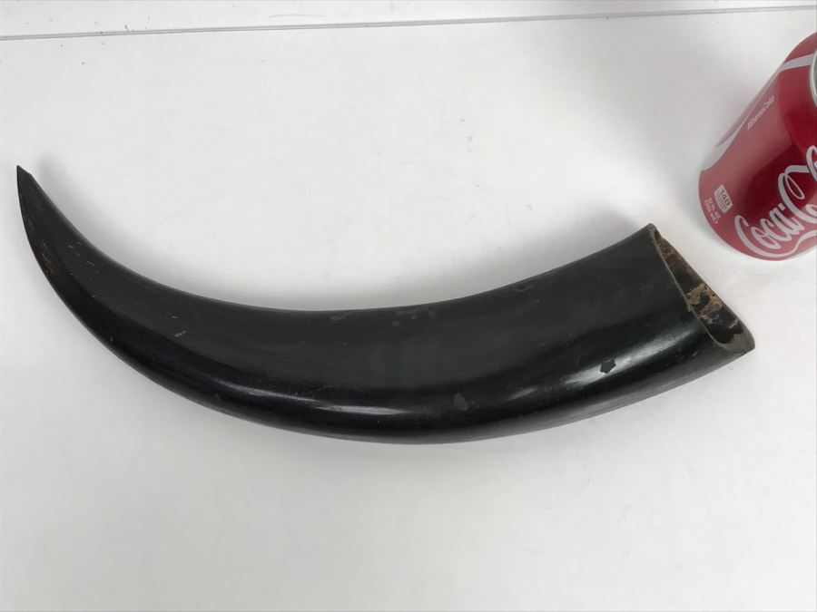 Vintage Scrimshaw Black Horn Carving Depicting Bird And Village [Photo 11]