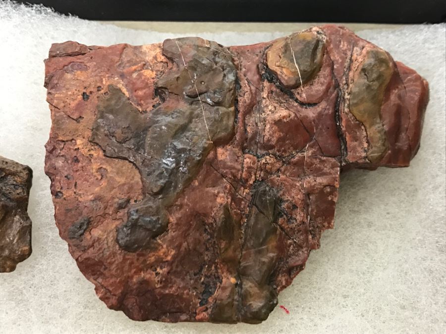 Collection Of Primitive Stone Tools (Unknow Region) [Photo 8]