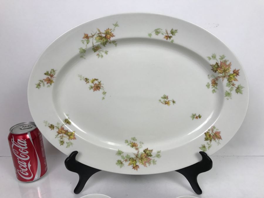 Haviland & Co Limoges China Set With Large Platter 10 Pieces [Photo 5]