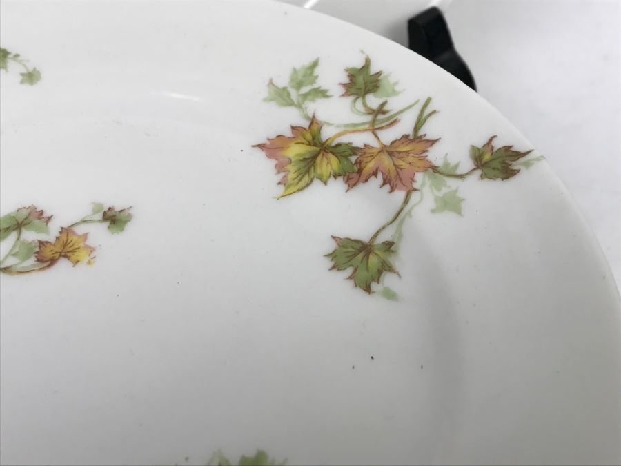 Haviland & Co Limoges China Set With Large Platter 10 Pieces [Photo 12]