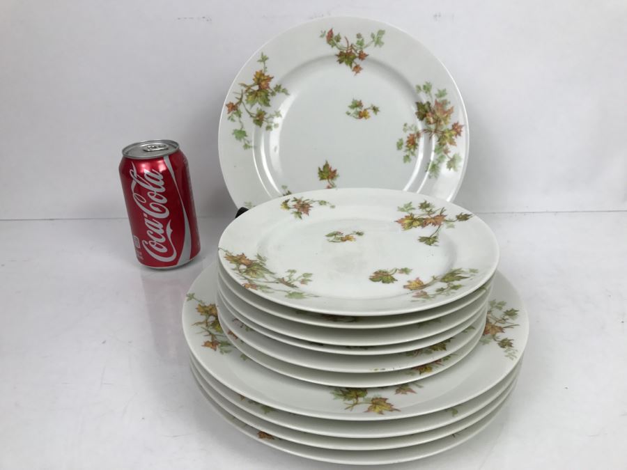 Haviland & Co Limoges China Set With Large Platter 10 Pieces [Photo 9]