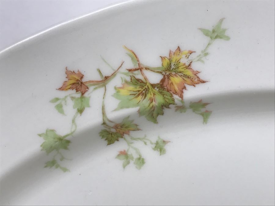 Haviland & Co Limoges China Set With Large Platter 10 Pieces [Photo 6]