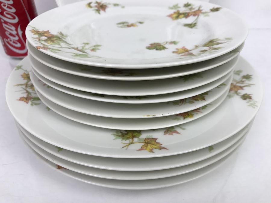 Haviland & Co Limoges China Set With Large Platter 10 Pieces [Photo 11]