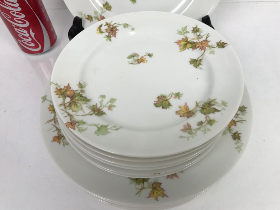 Haviland & Co Limoges China Set With Large Platter 10 Pieces [Photo 10]