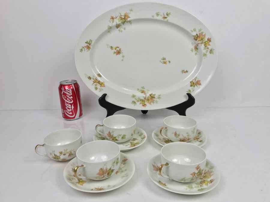 Haviland & Co Limoges China Set With Large Platter 10 Pieces