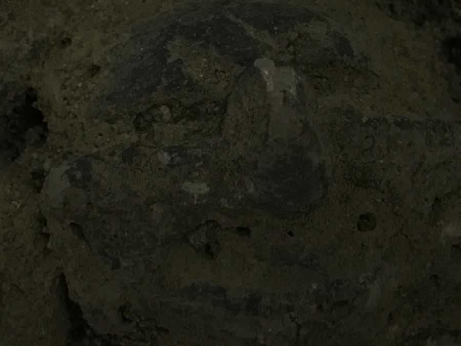 Unearthed Old Pottery Figure Head Artifact Of Unknown Origin [Photo 19]